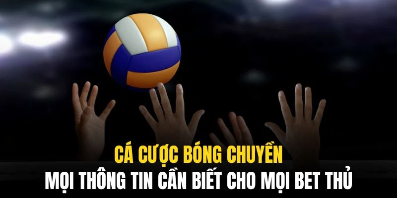 Cá Cược Bóng Chuyền QQ88 - Mọi Thông Tin Cho Mọi Bet Thủ 2 Cá cược bóng chuyền qq88