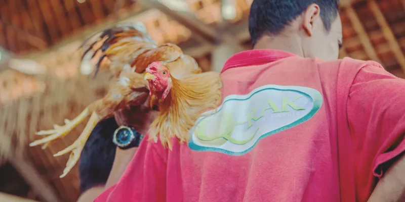 Trực Tiếp Đá Gà C3 - Đấu Trường Kịch Tính Bậc Nhất Tại QQ88 6 Cửa cược quen thuộc giúp nâng cao tỷ lệ chiến thắng cho người chơi